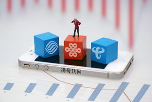 上海市民可到三家營(yíng)業(yè)廳辦理攜號(hào)轉(zhuǎn)網(wǎng)，附轉(zhuǎn)網(wǎng)最詳攻略及基礎(chǔ)電信業(yè)務(wù)解析